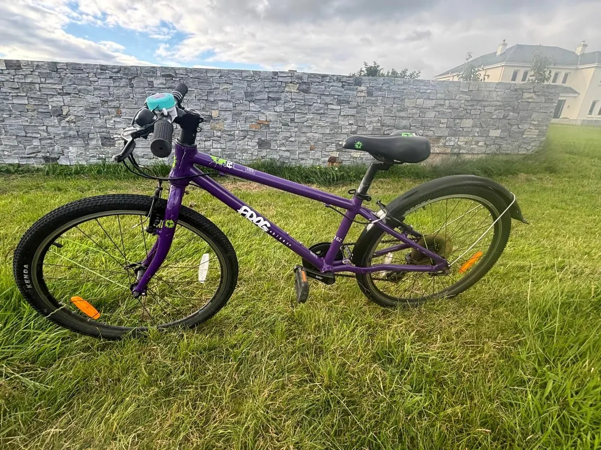 Girls Frog Bicycle-purple - Image 3