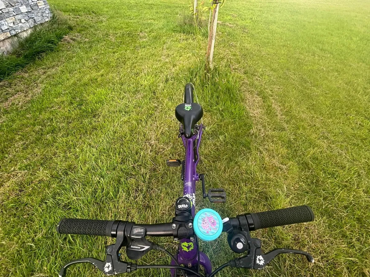 Girls Frog Bicycle-purple - Image 4