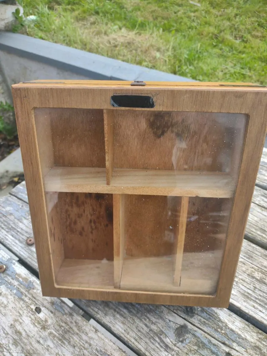 Henry Wintermans cigar display box - Image 4
