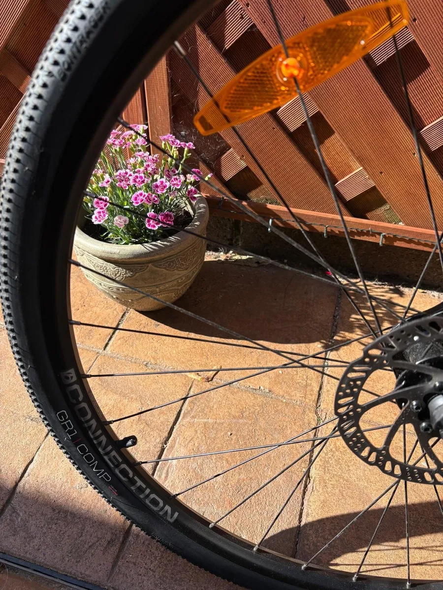 Trek Dual Sport 2 EQ M SL - Image 2