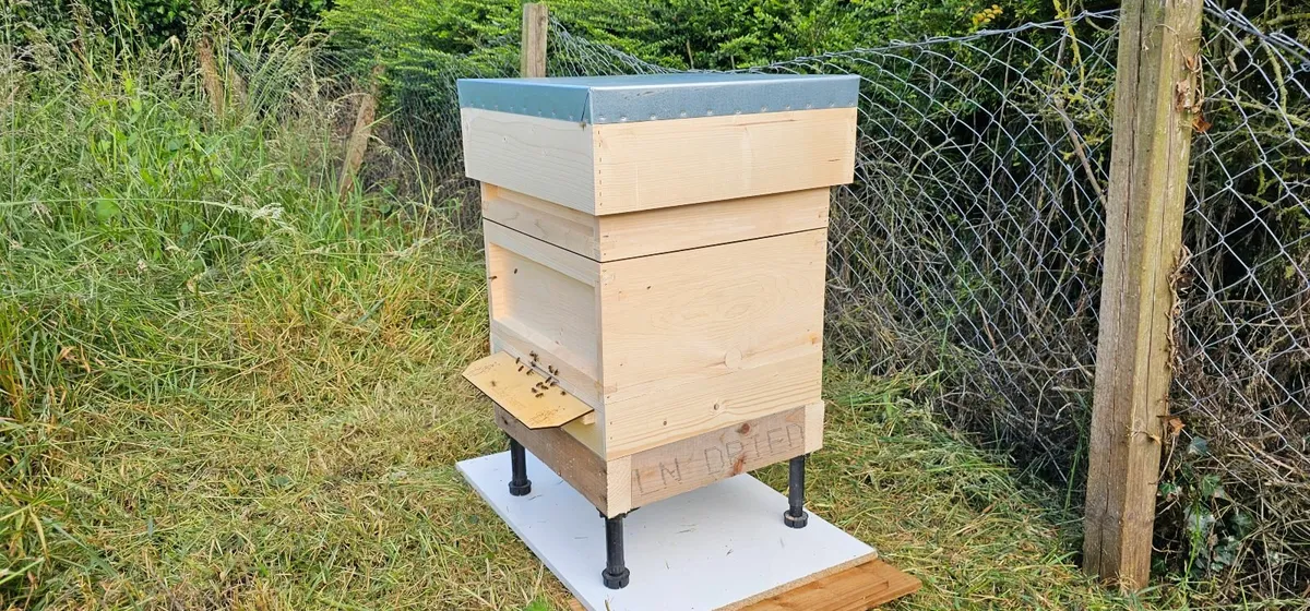National hive with bees - Image 1