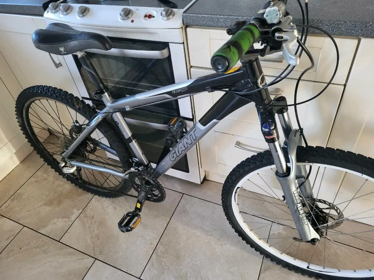 Giant mountain bike - Image 1