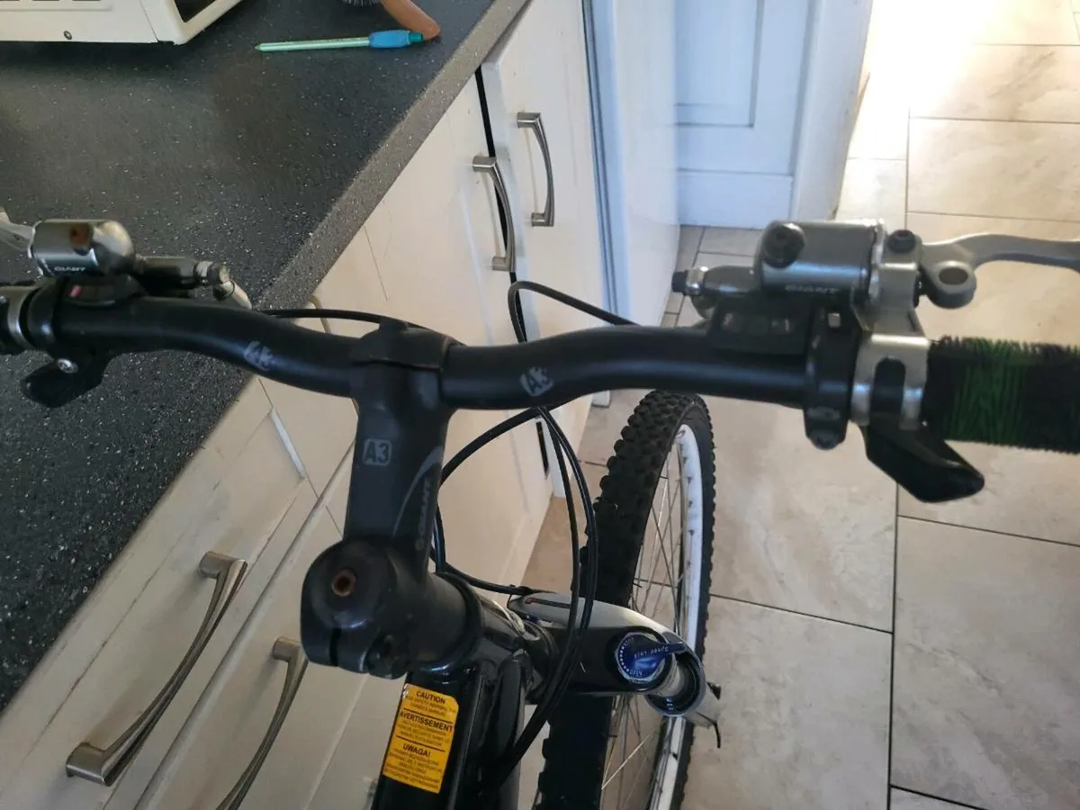 Giant mountain bike - Image 3