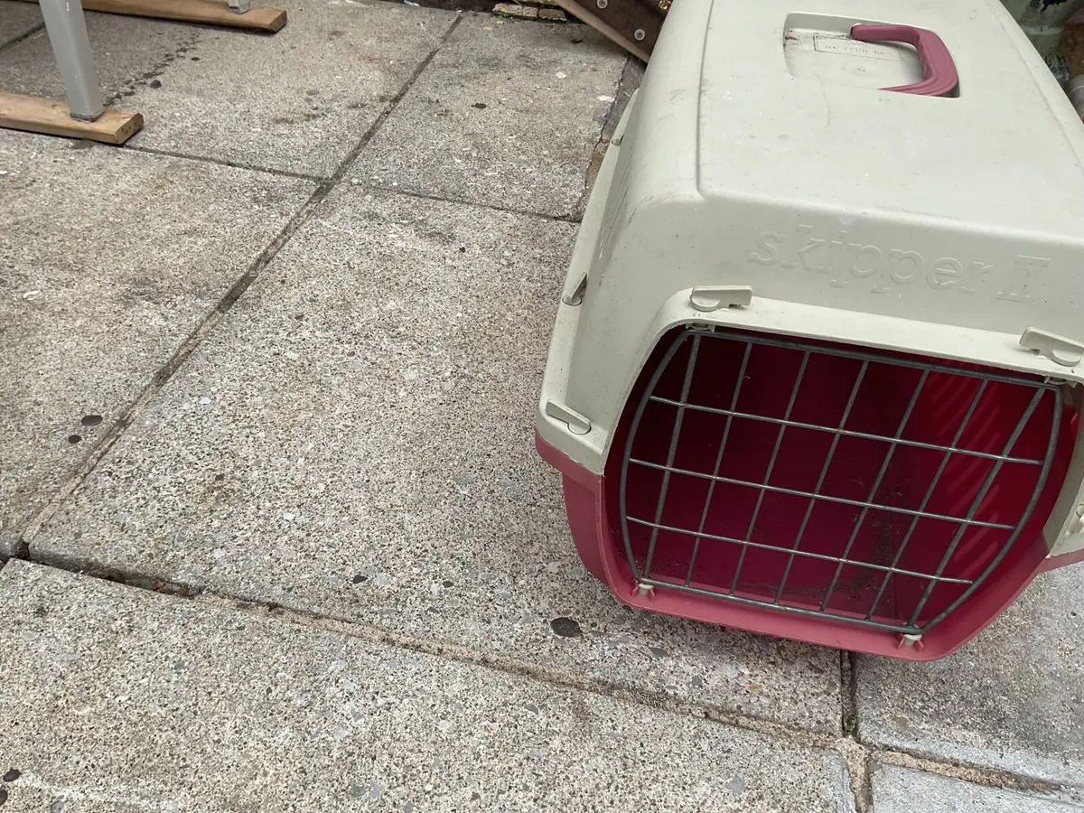 Cat box - Image 2