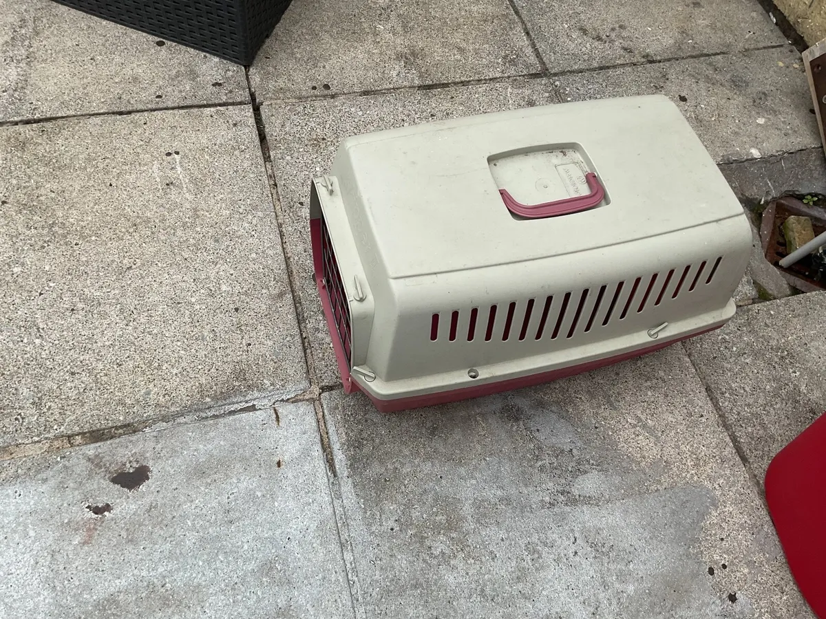Cat box - Image 3