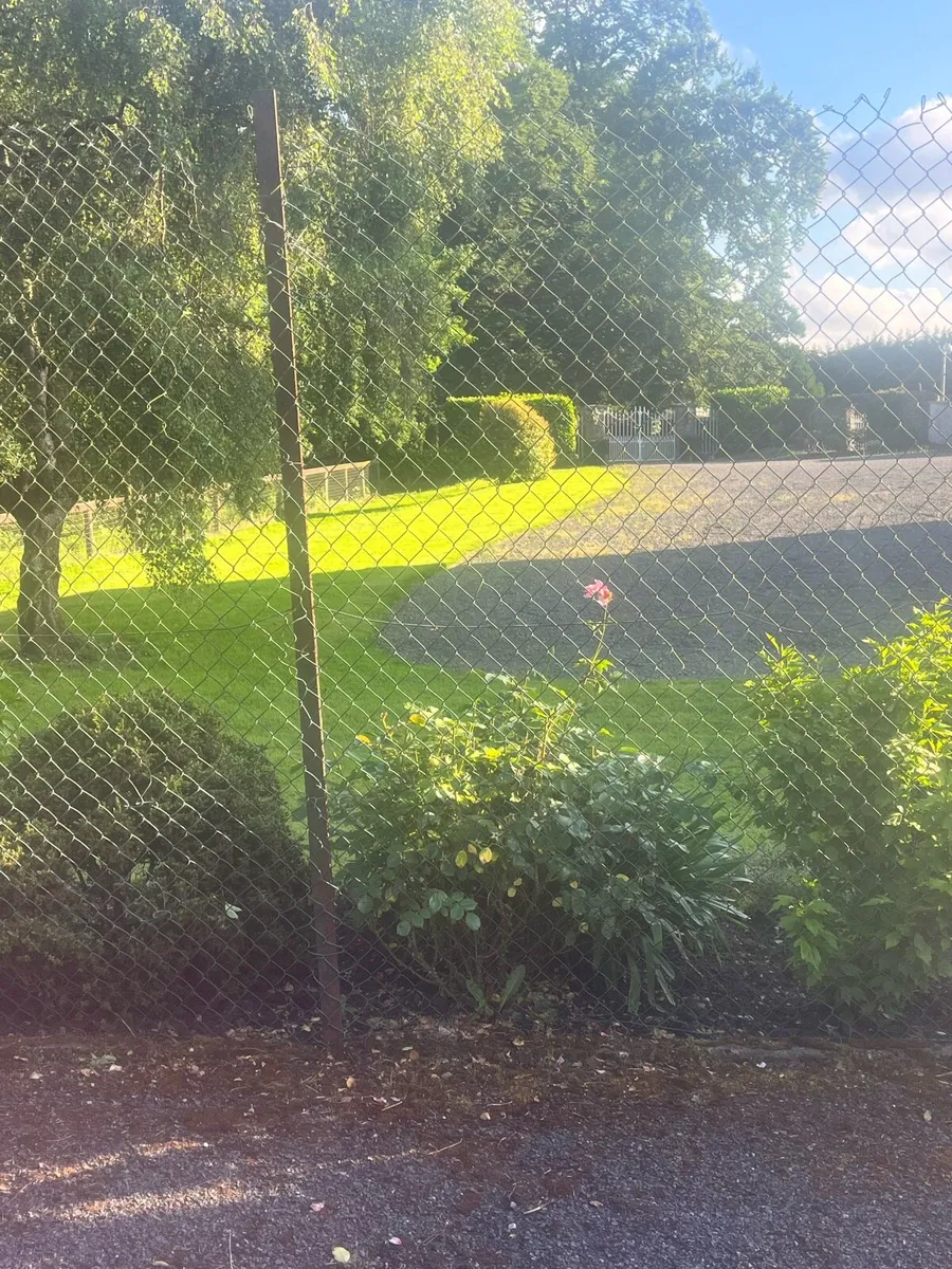 Wire for tennis court - Image 1