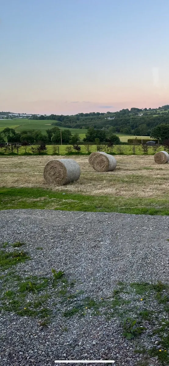 Round Hay Bales - Image 2