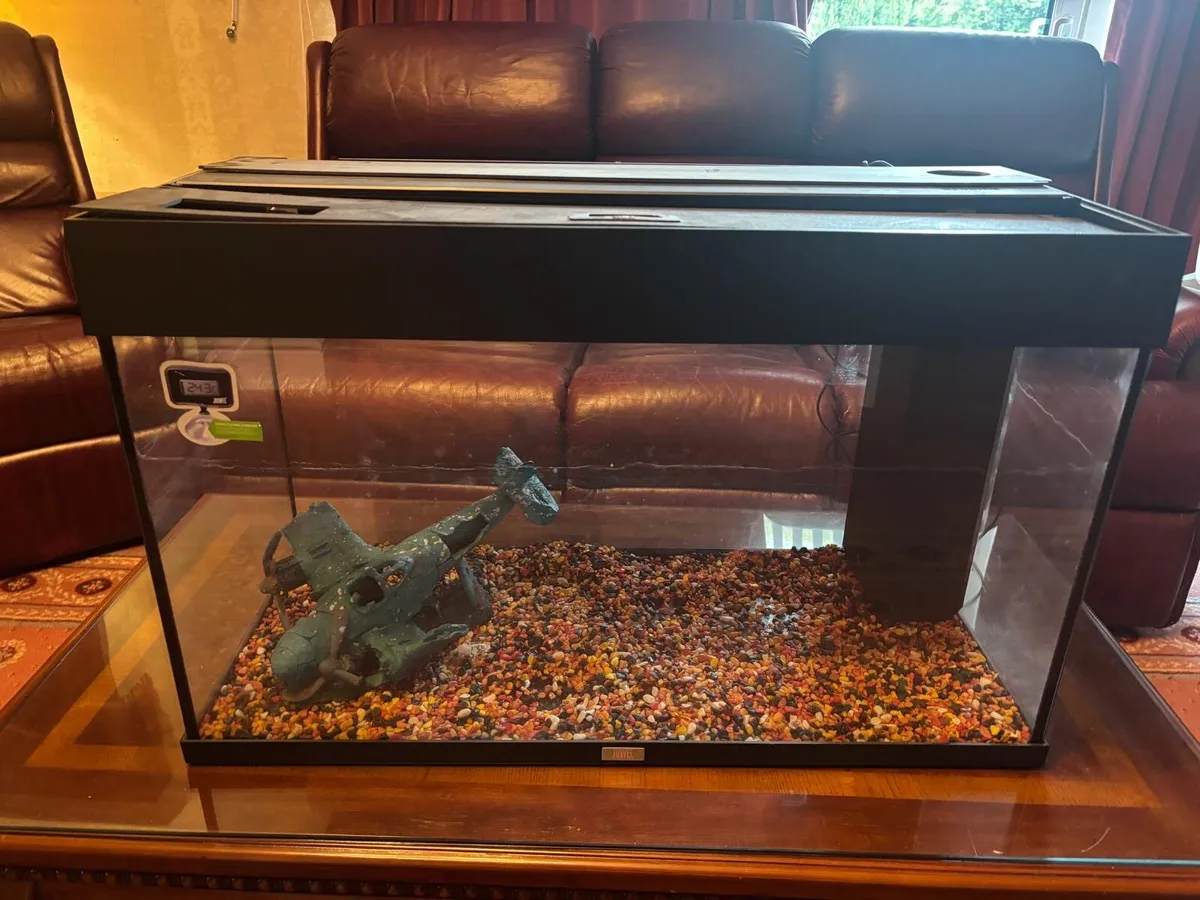 Fish tank - Image 1