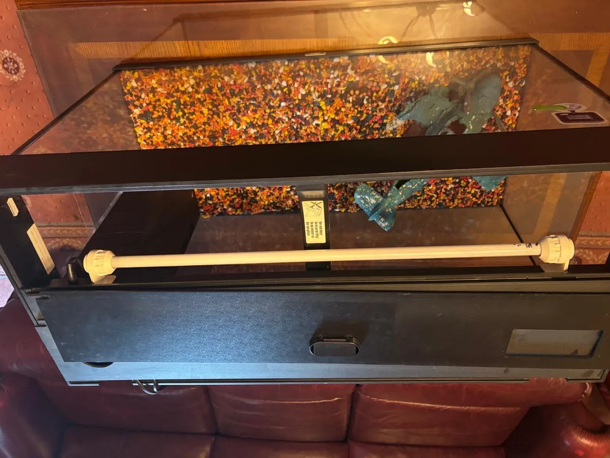 Fish tank - Image 2