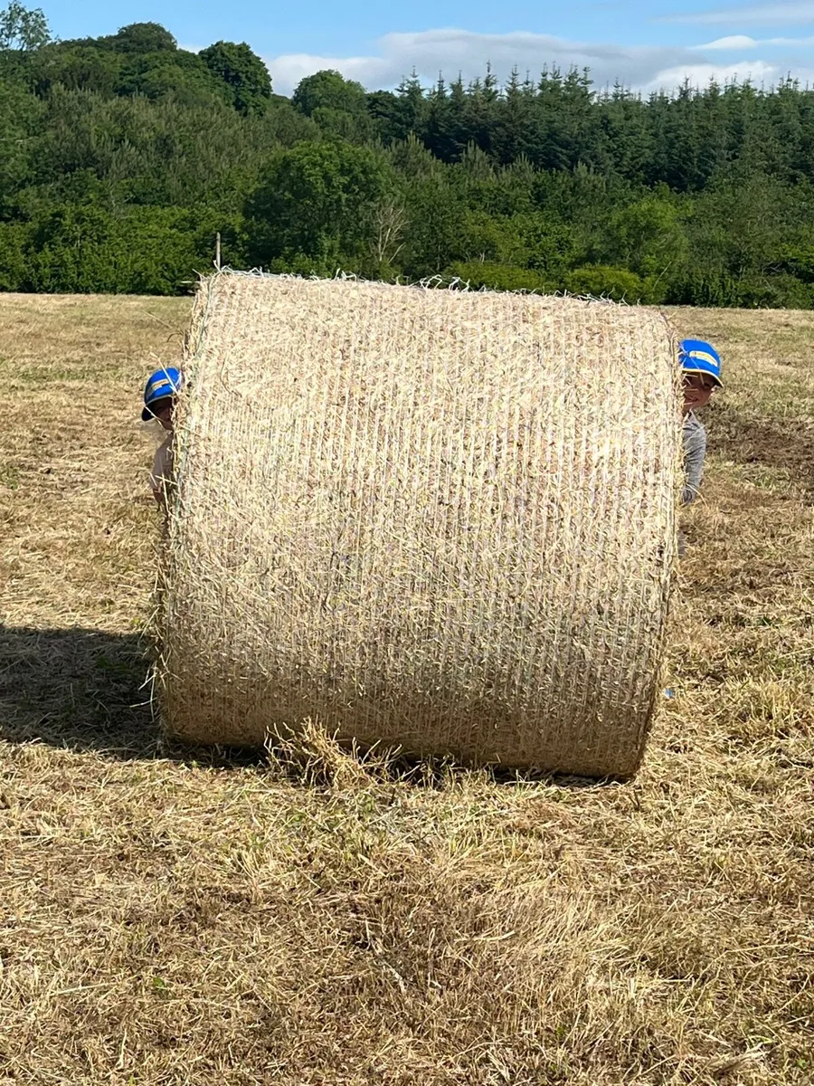 Round Hay Bales - Image 1