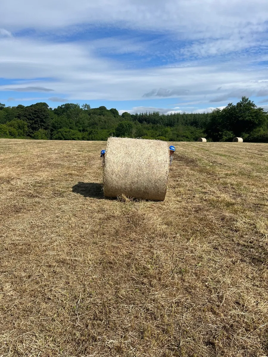 Round Hay Bales - Image 4