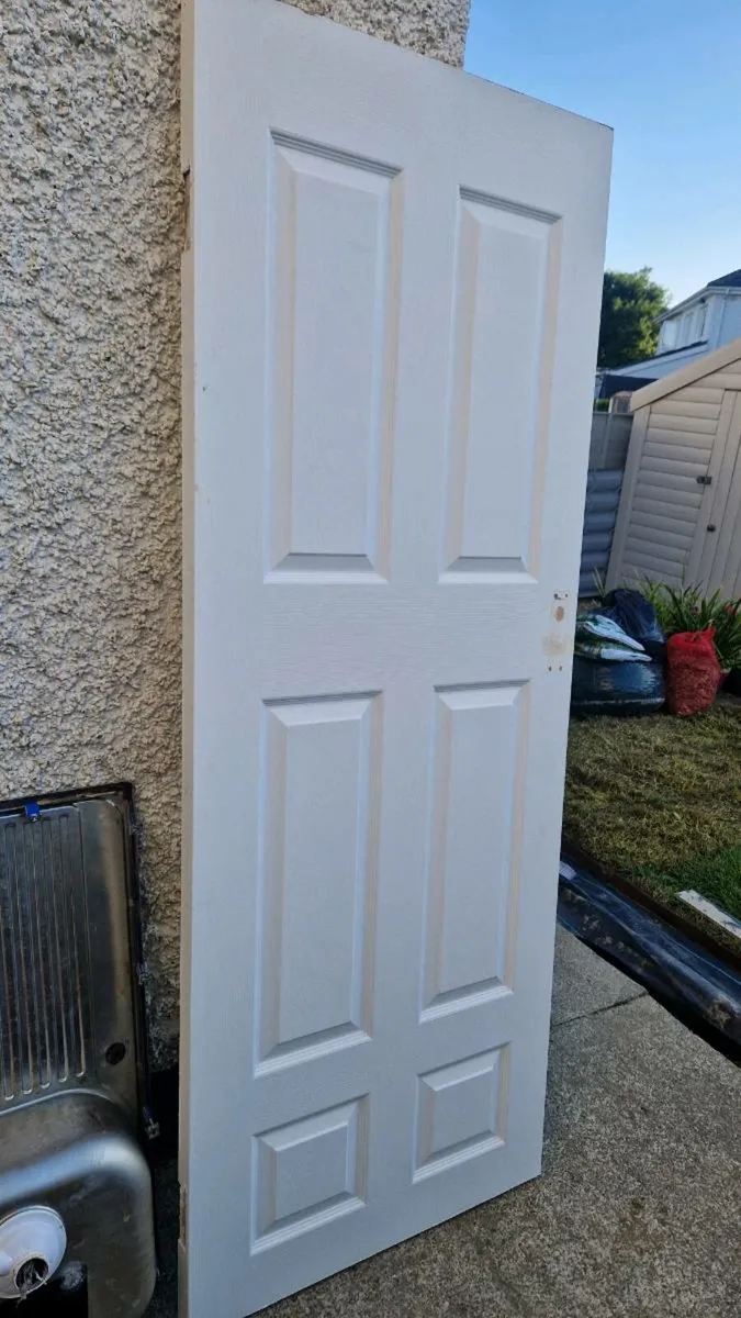Door freshly painted + 2d door free - Image 1