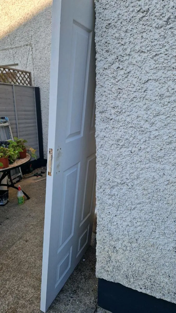Door freshly painted + 2d door free - Image 2