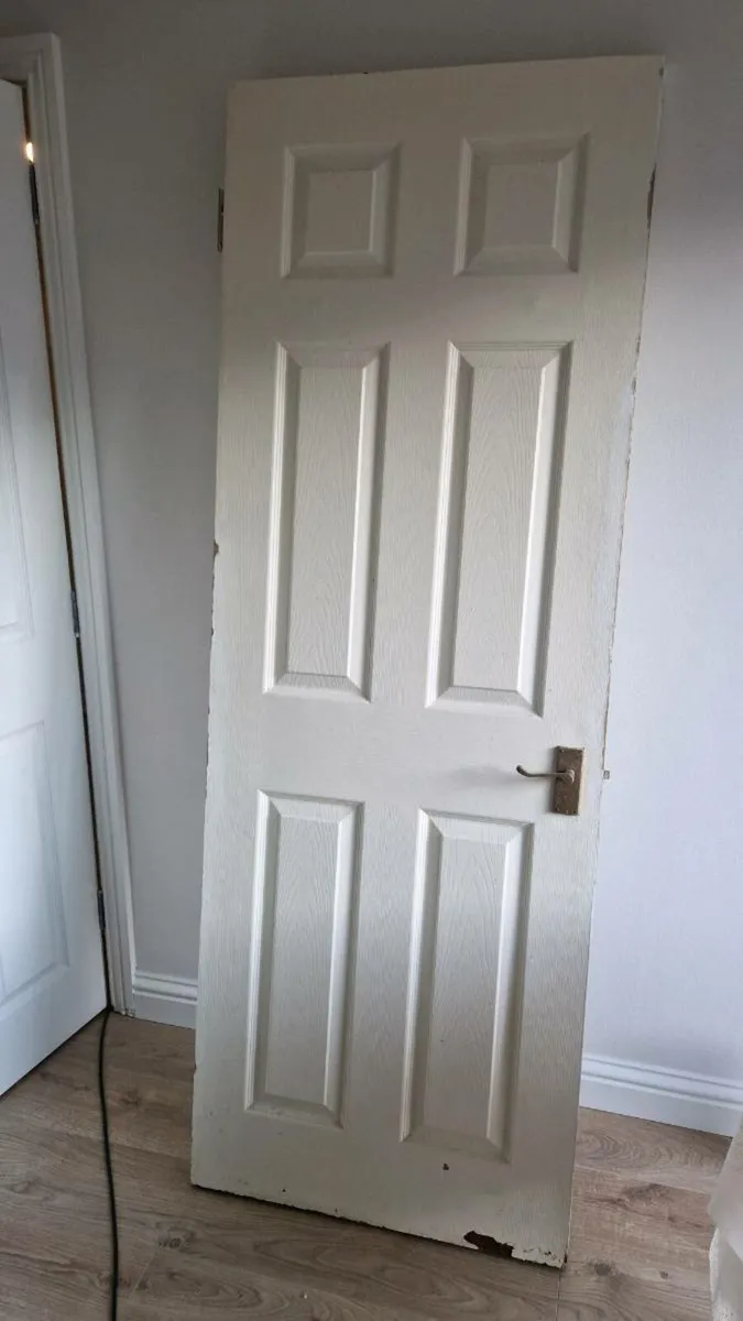 Door freshly painted + 2d door free - Image 3