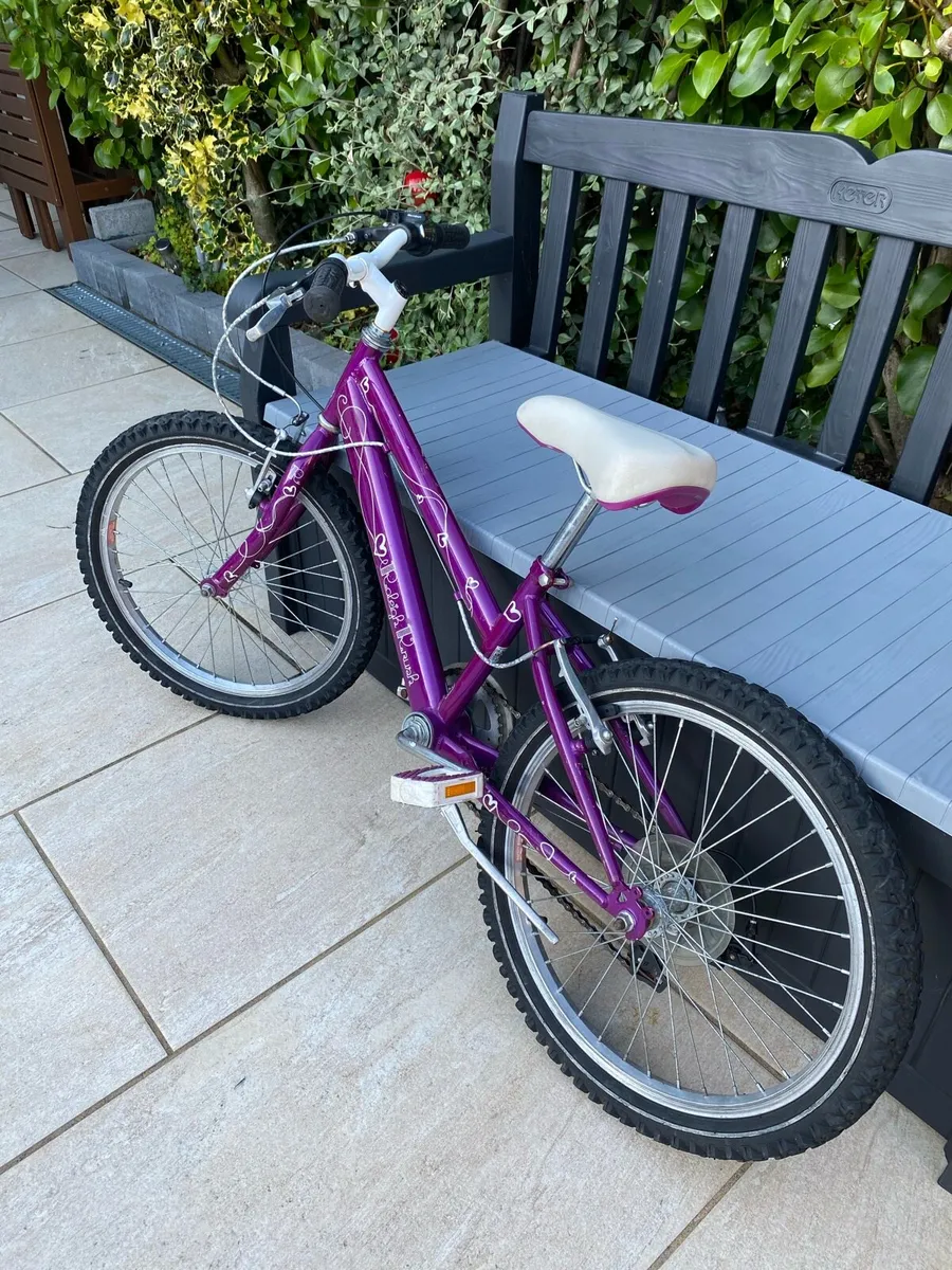 Raleigh bike - Image 1