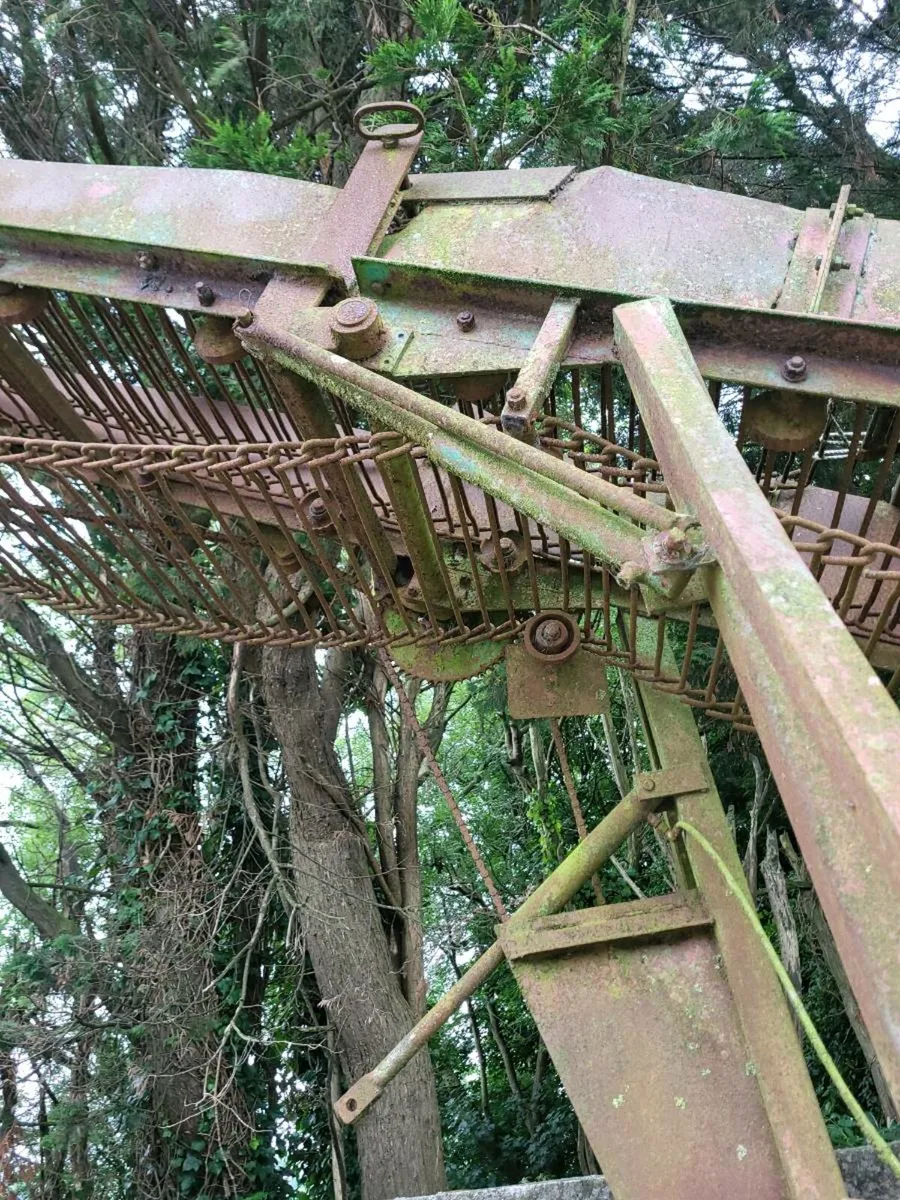 Beet Cleaner Loader - Image 3