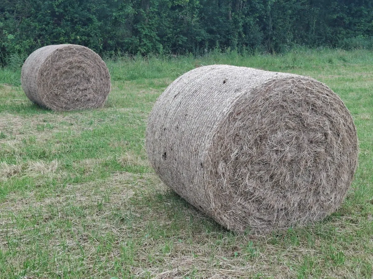 Top Class Hay For Sale - Image 1