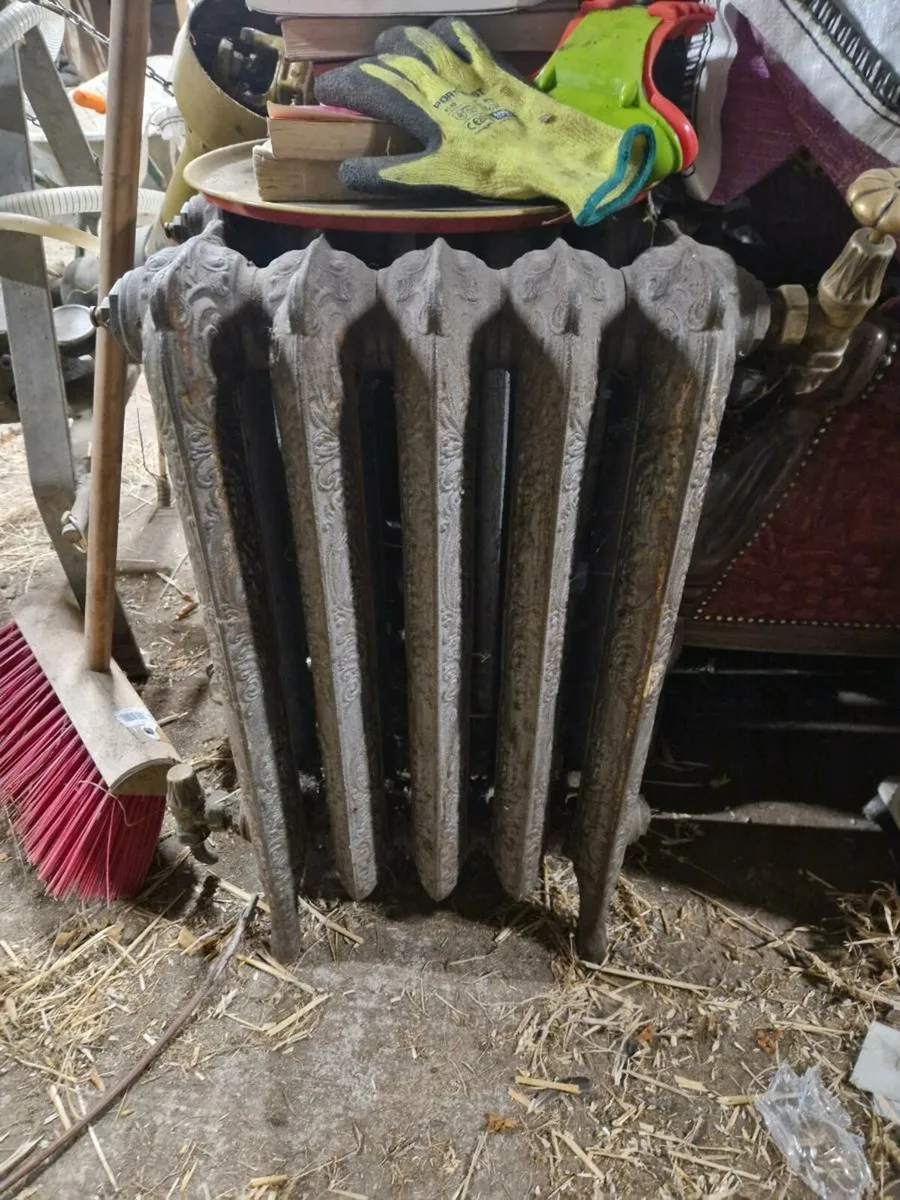 Cast iron rads - Image 1
