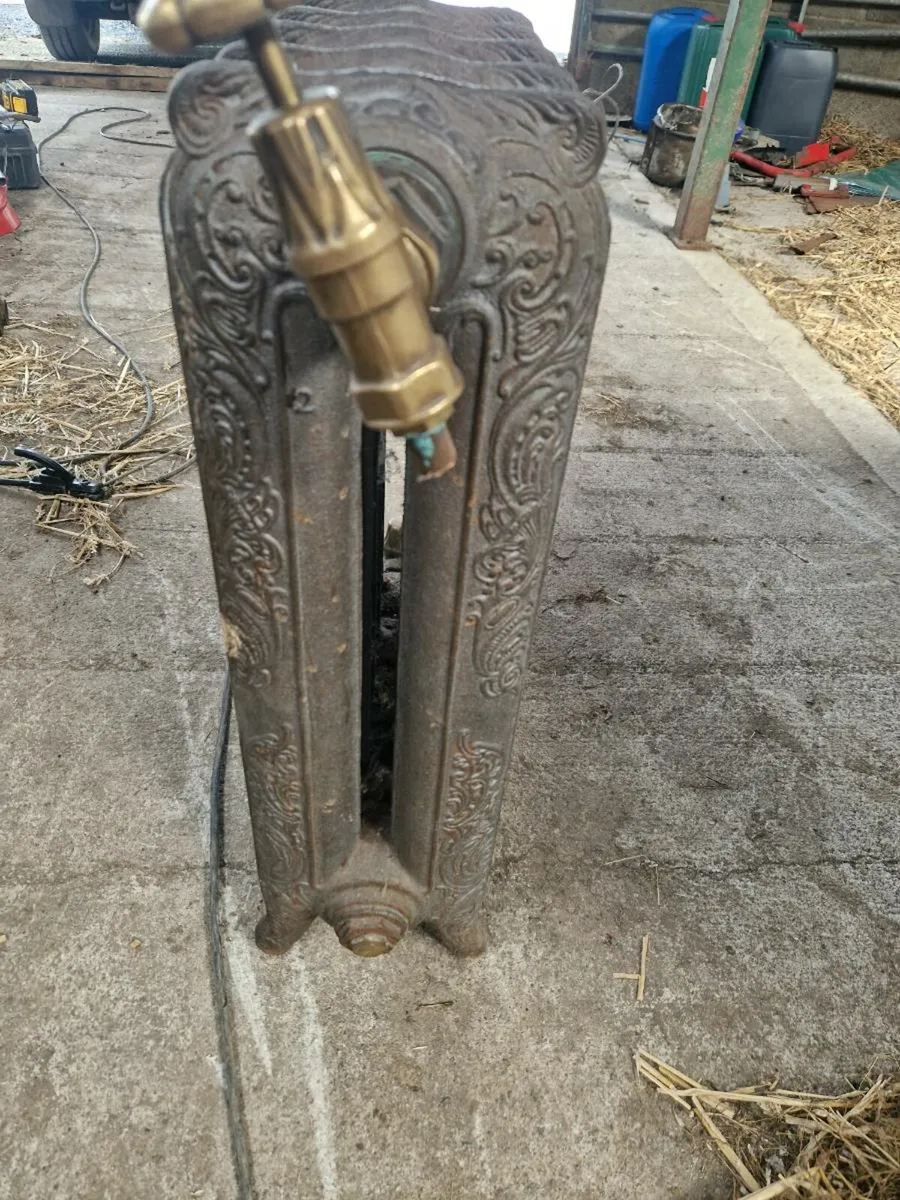Cast iron rads - Image 2