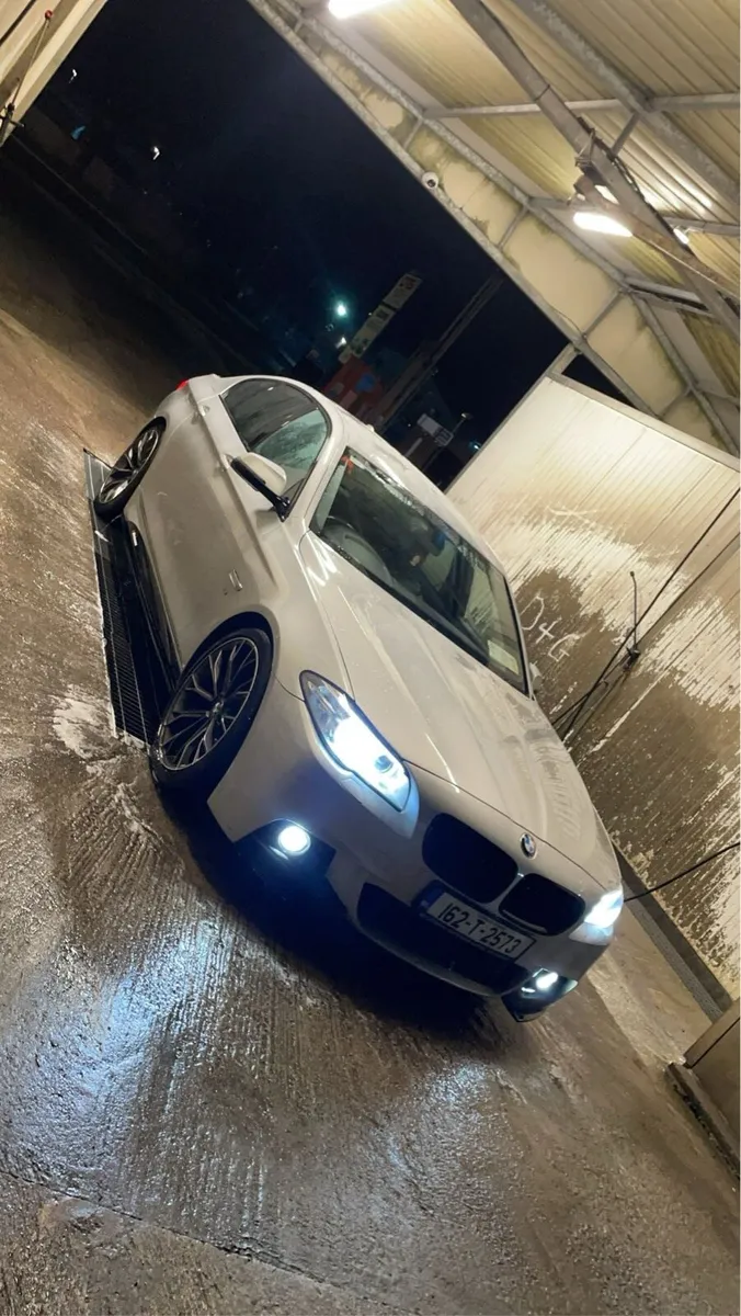 BMW 520 - Image 2