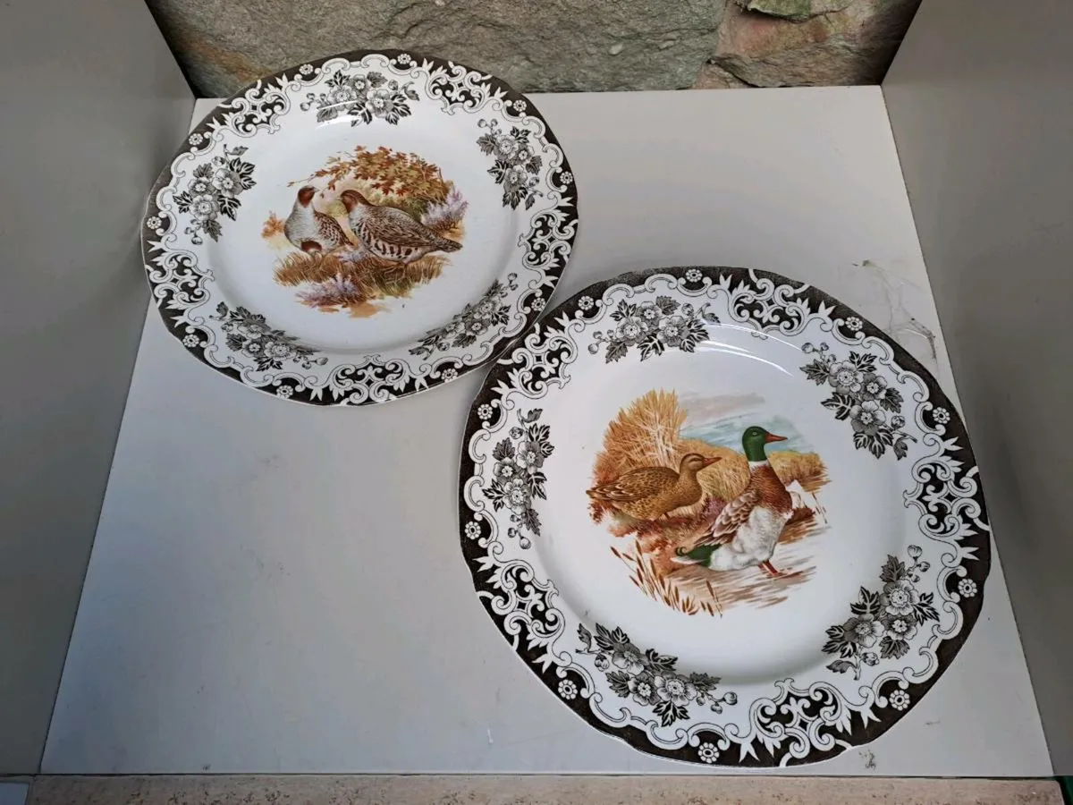 3 Burleigh ducks and fowl secen plates - Image 1