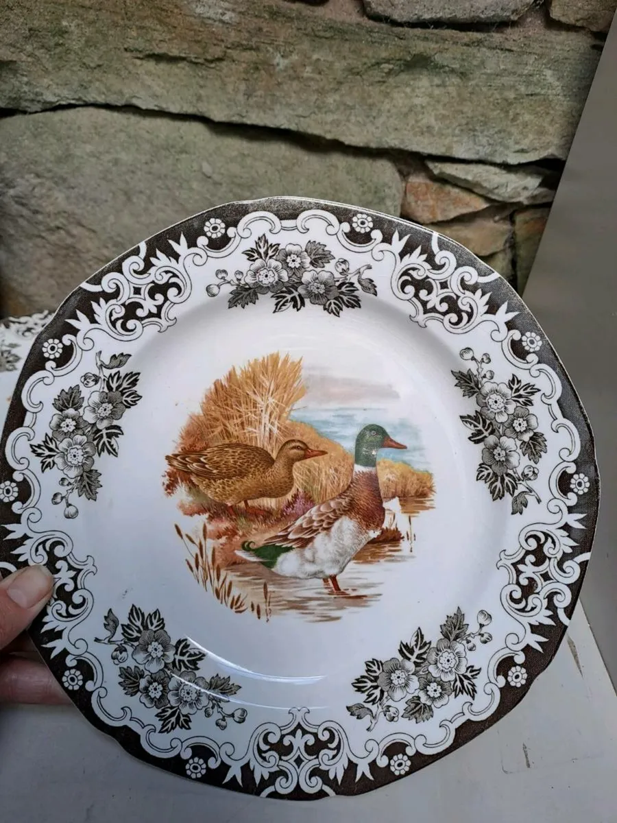3 Burleigh ducks and fowl secen plates - Image 2