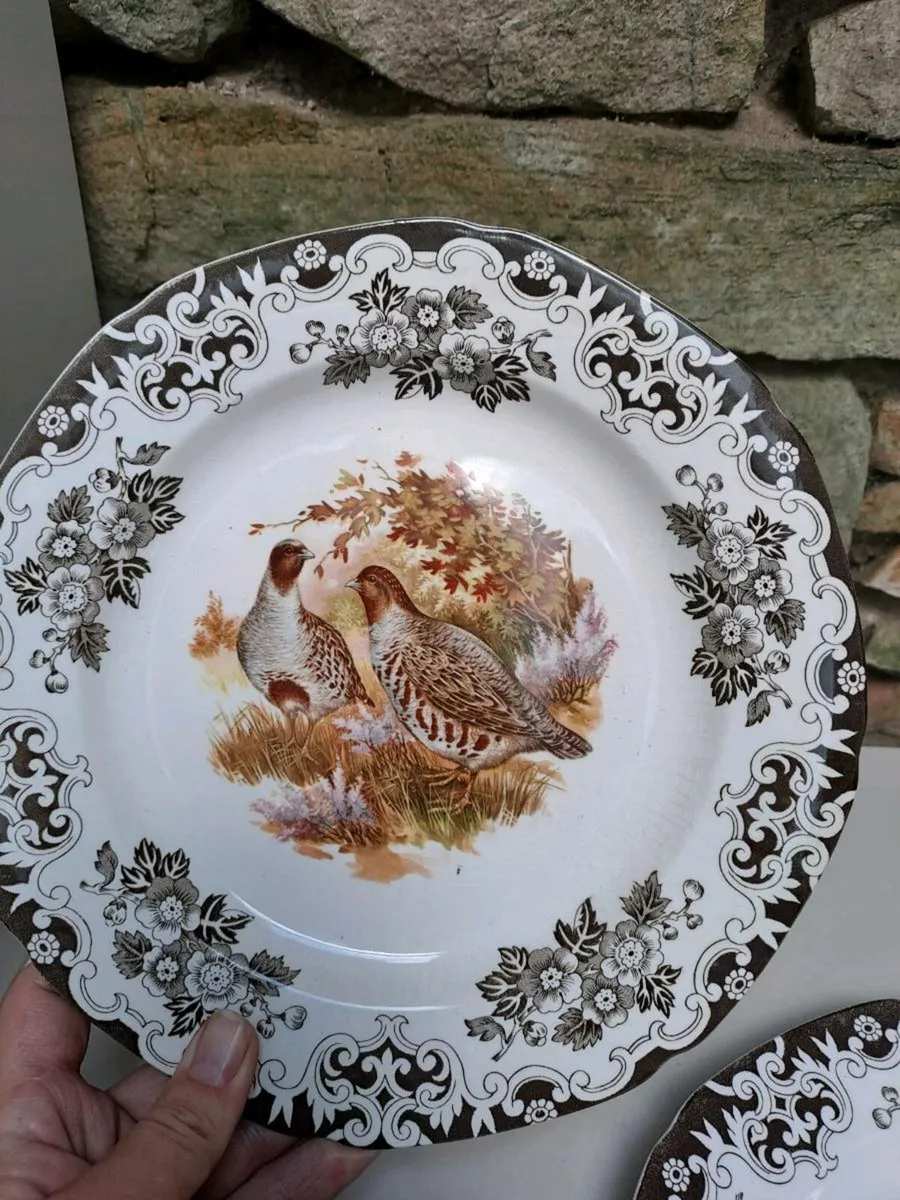 3 Burleigh ducks and fowl secen plates - Image 3