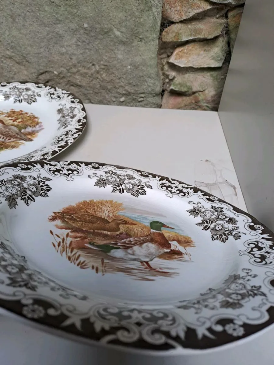 3 Burleigh ducks and fowl secen plates - Image 4