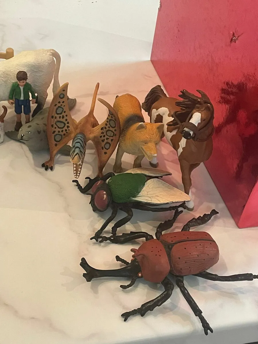 Animal collection - Image 1