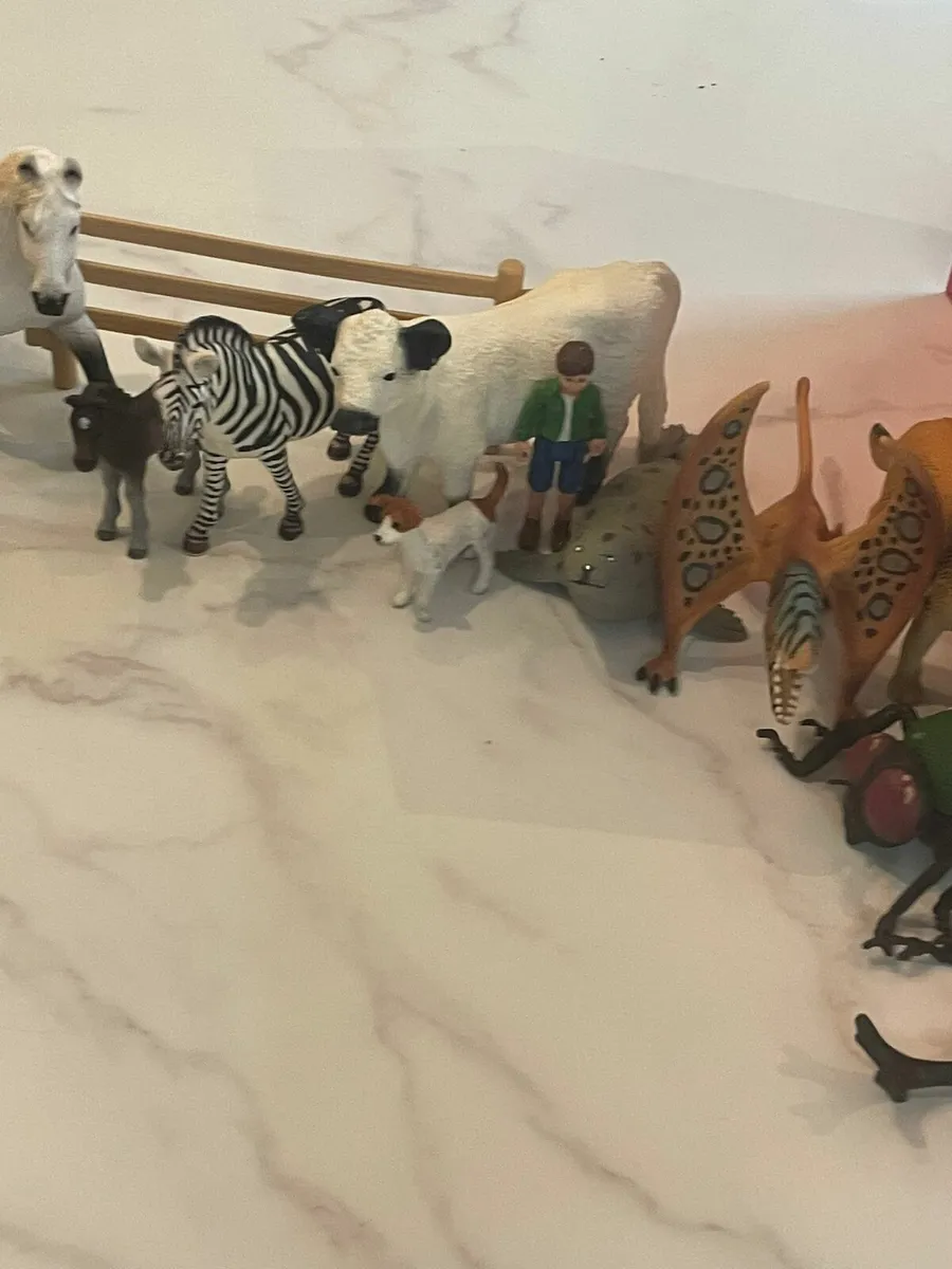 Animal collection - Image 2