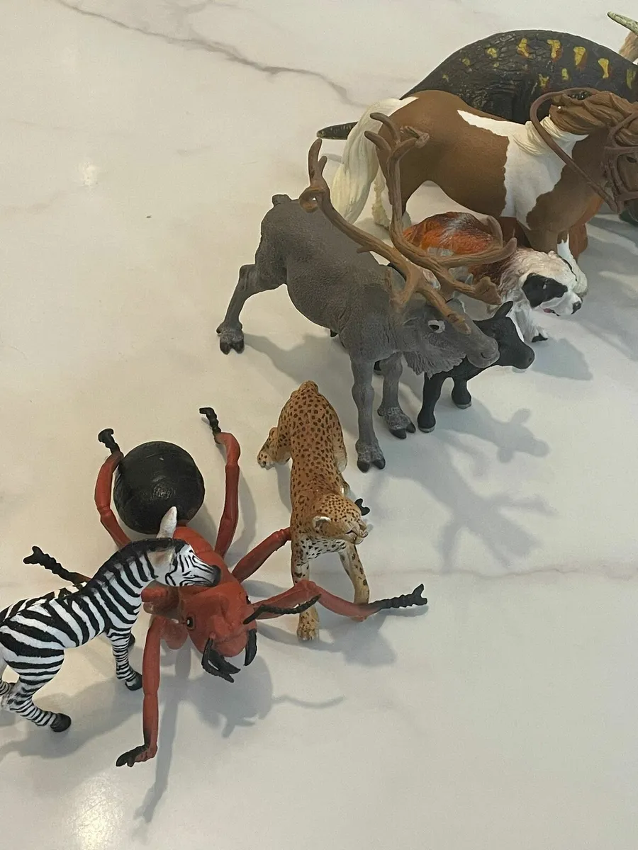 Animal collection - Image 4