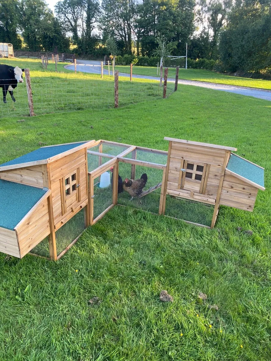 Hen houses and run - Image 1