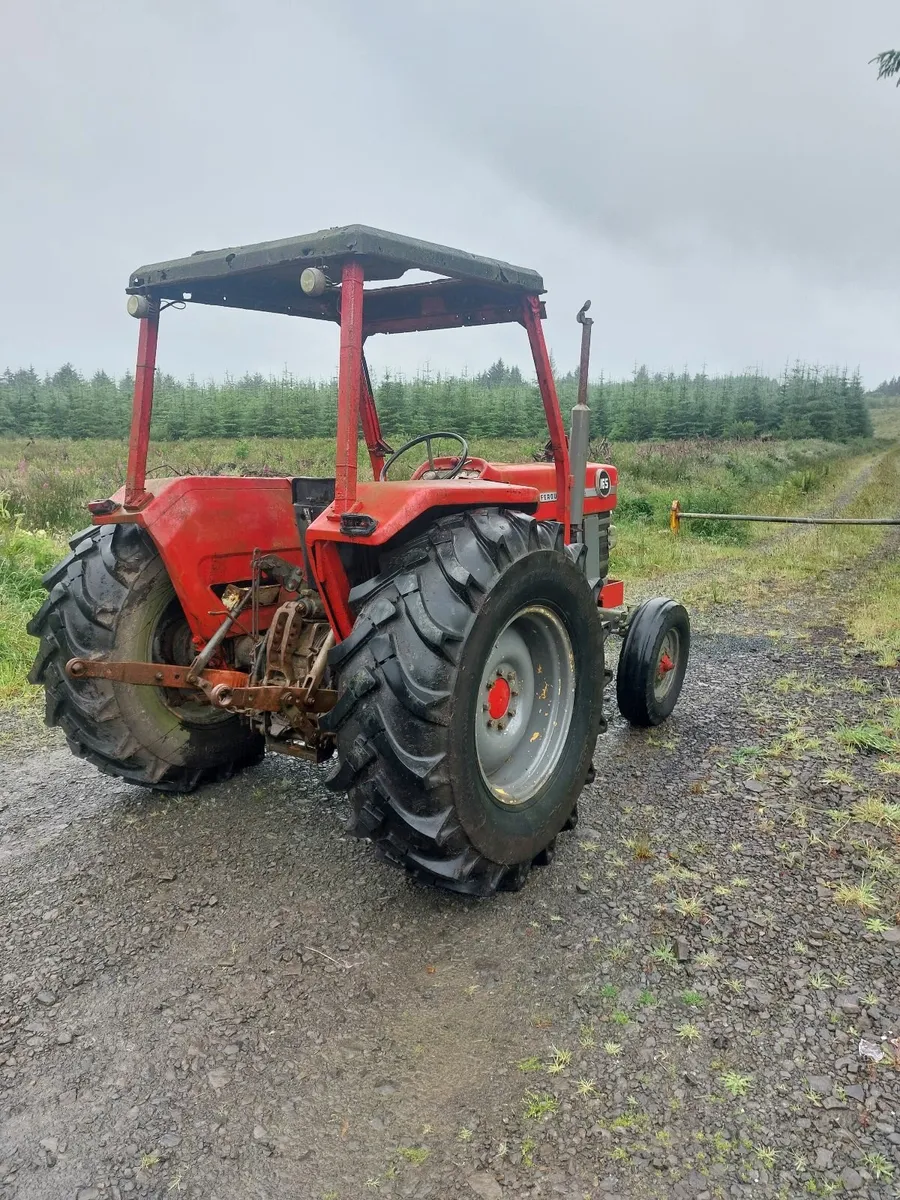Massey Ferguson 165 - Image 2