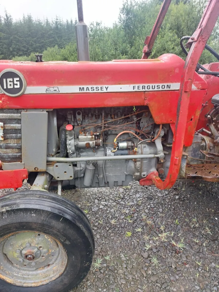 Massey Ferguson 165 - Image 3