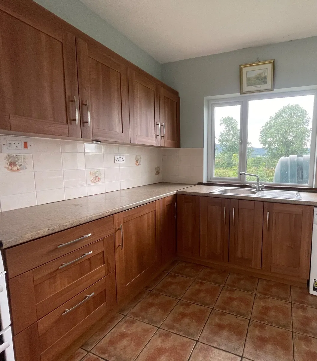 Kitchen Cabinets - Image 1