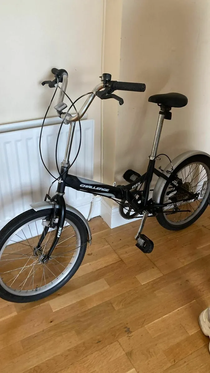 Flex Bike - Image 1