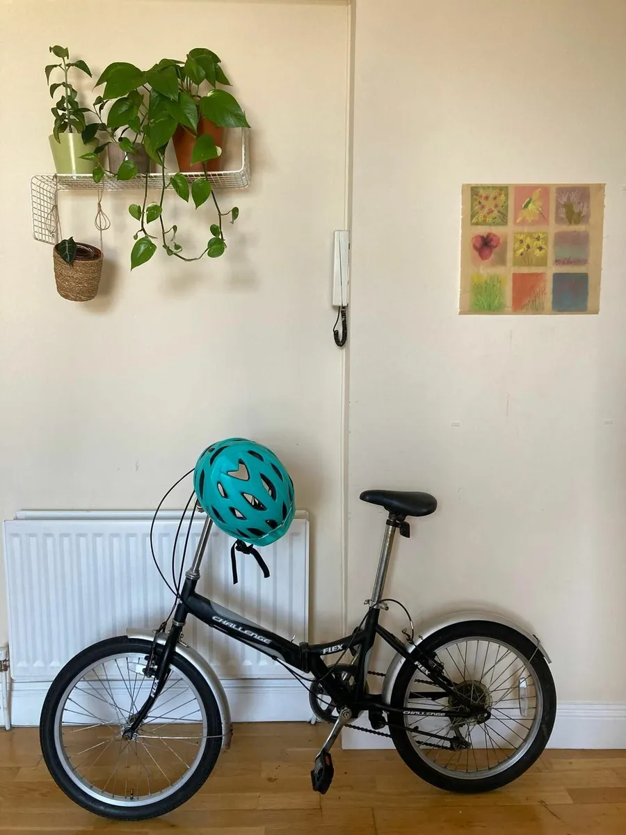 Flex Bike - Image 2