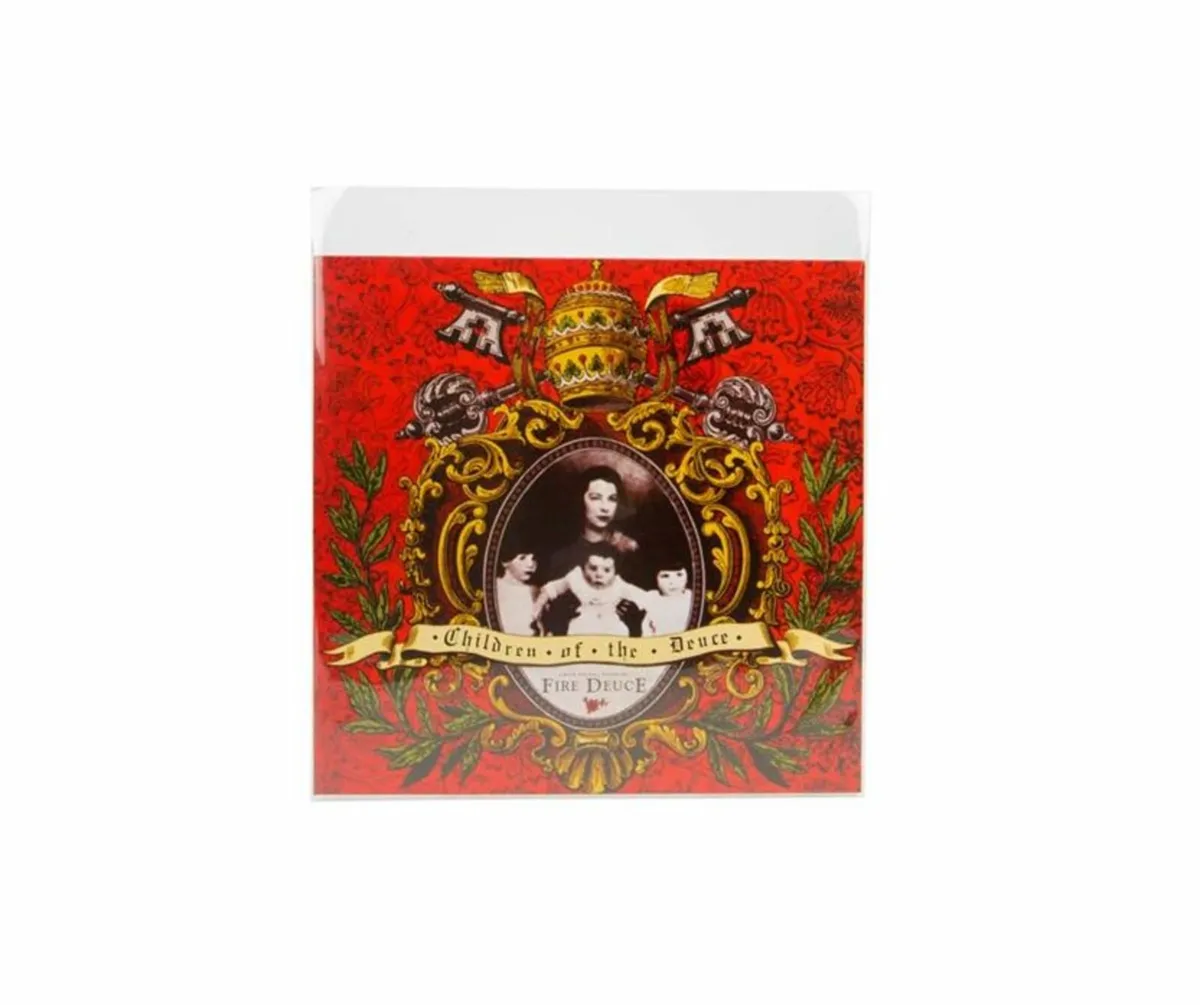 10" Vinyl Record Plastic Cover Sleeves - WITH FLAP - Image 3