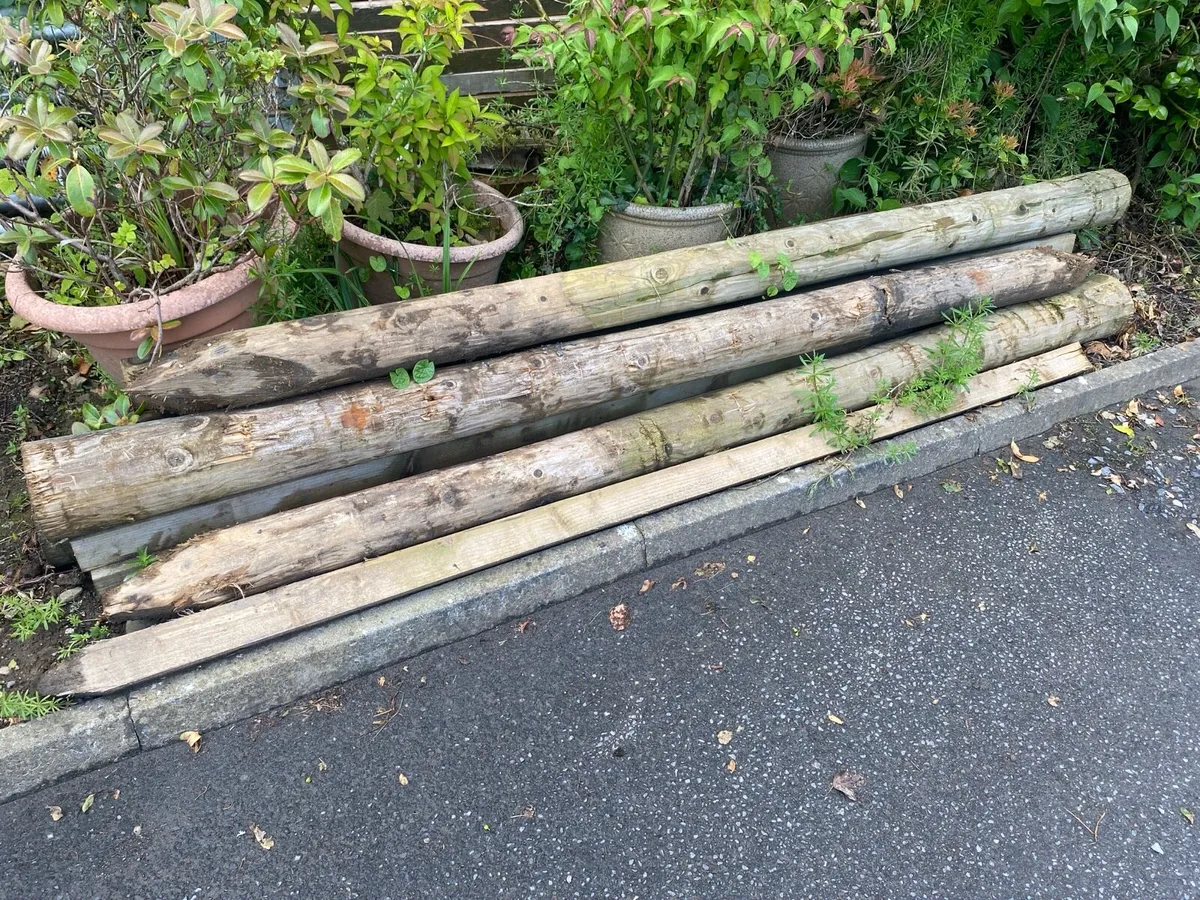 40meters Fencing and Stakes - Image 2
