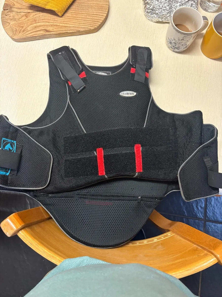 Back protector - Image 1