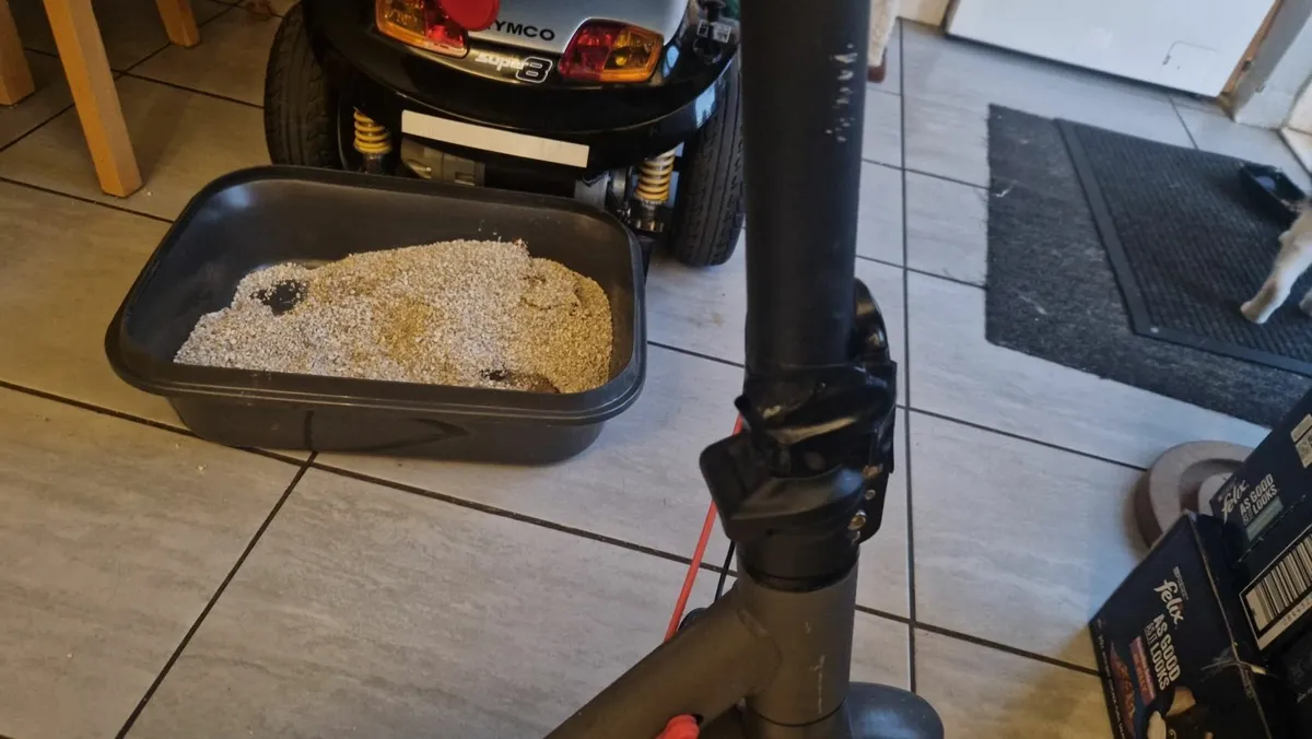 Electric scooter - Image 4