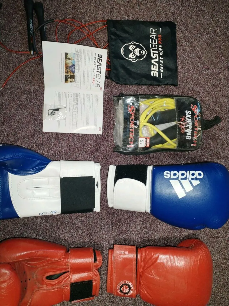 Boxing gloves - Image 2