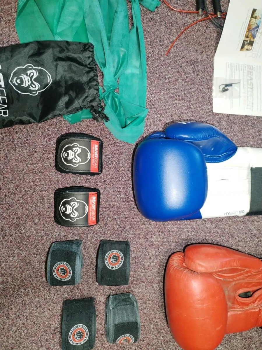 Boxing gloves - Image 3
