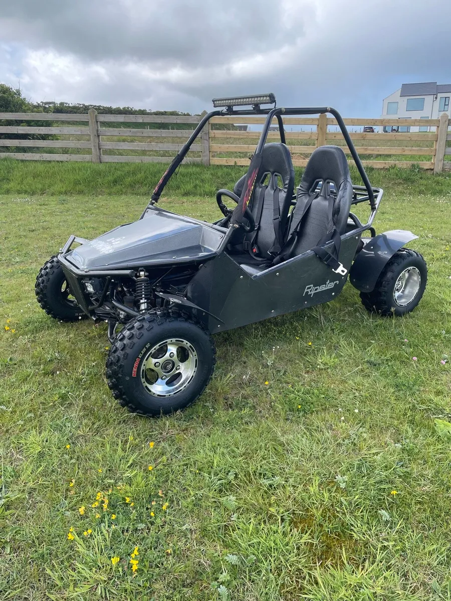 200cc Ripster Buggy - Image 3