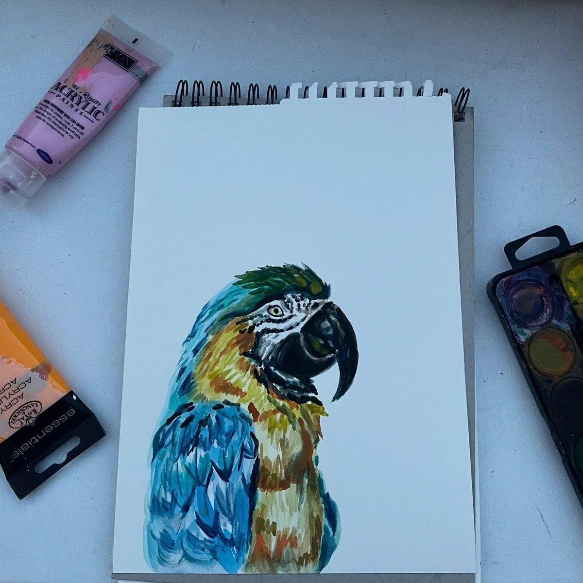 Limited edition Parrot painting - Image 1