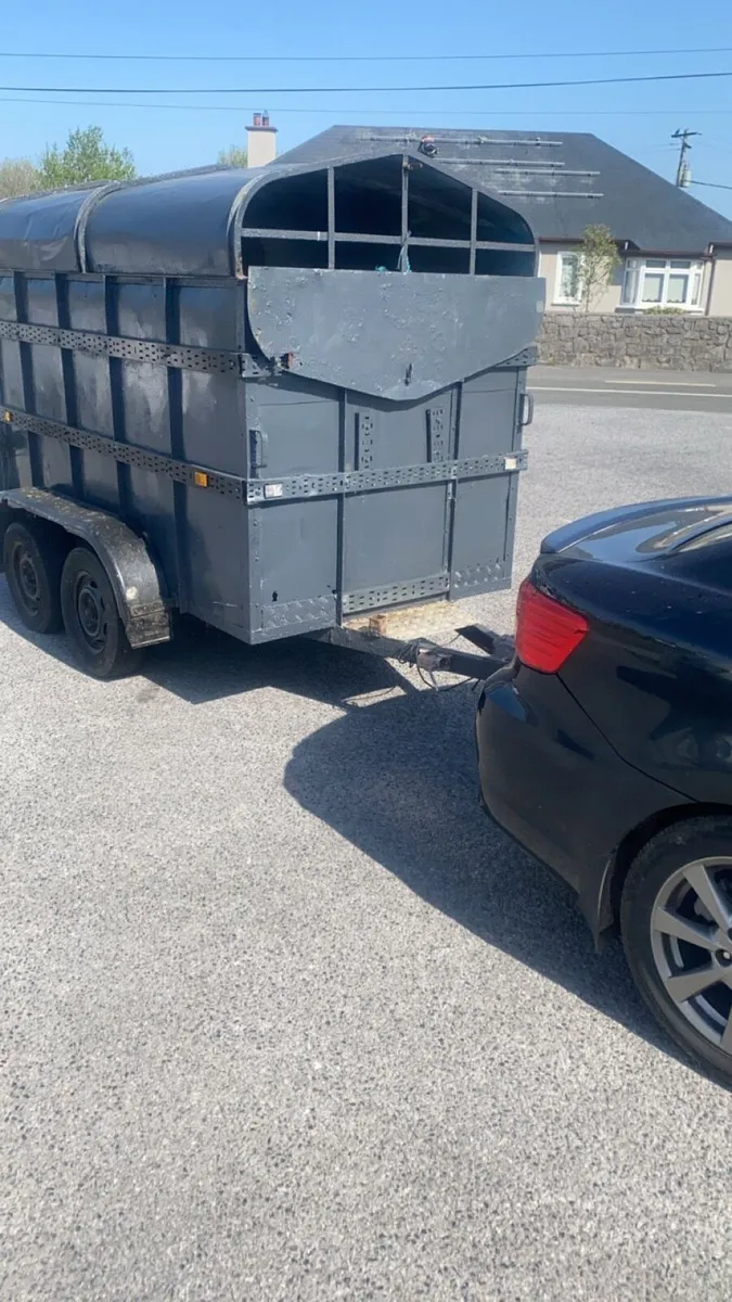 8x5 cattle trailer - Image 1