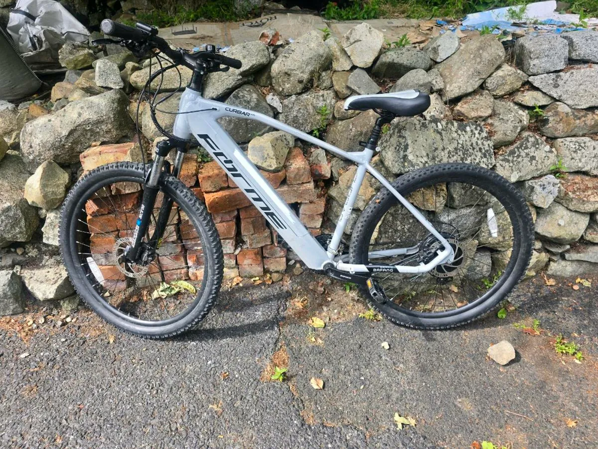 Forma electric bike - Large frame - Image 1