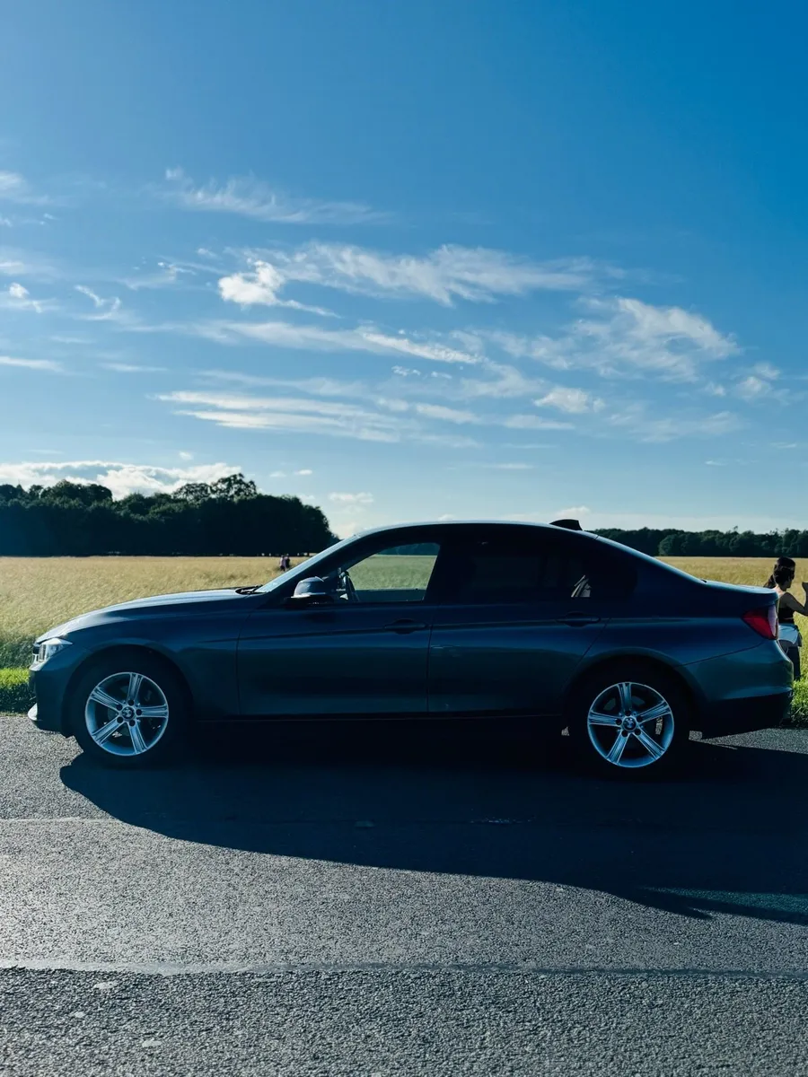 Immaculate BMW 318d Auto - Image 3