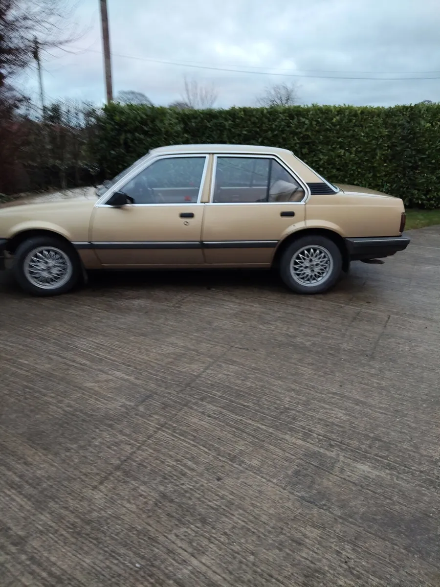 Vauxhall Cavalier 1982 - Image 2