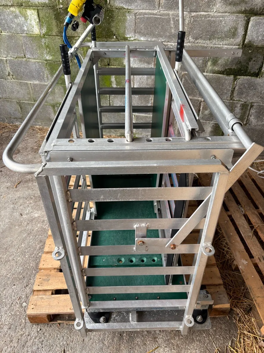 Prattley 3 way manual drafter sheep scales - Image 2